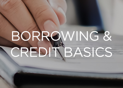 Borrowing and Credit Basics