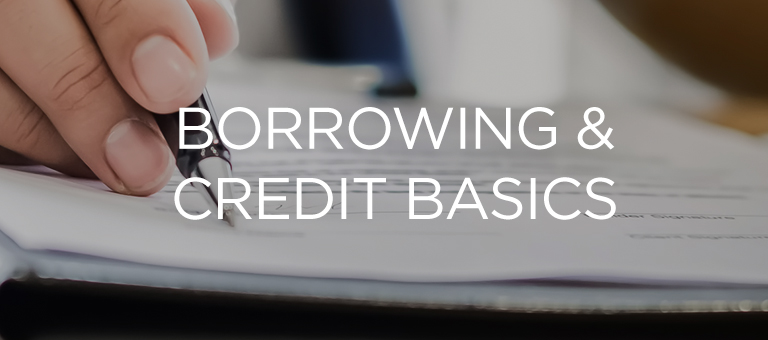 Borrowing and Credit Basics