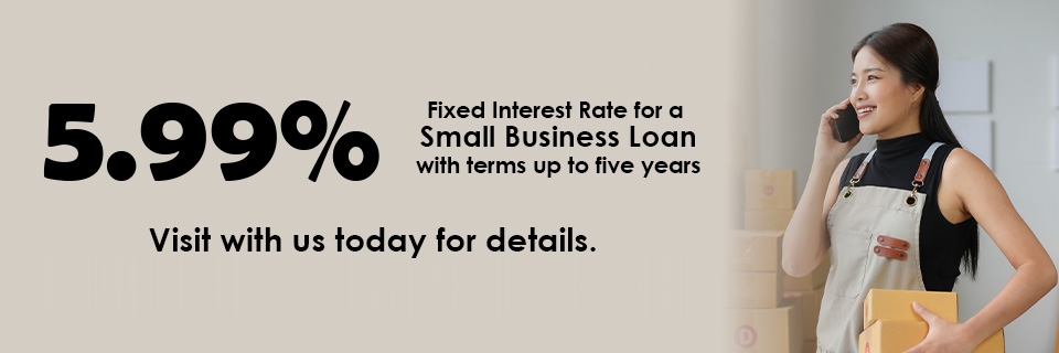 Small Business Loans